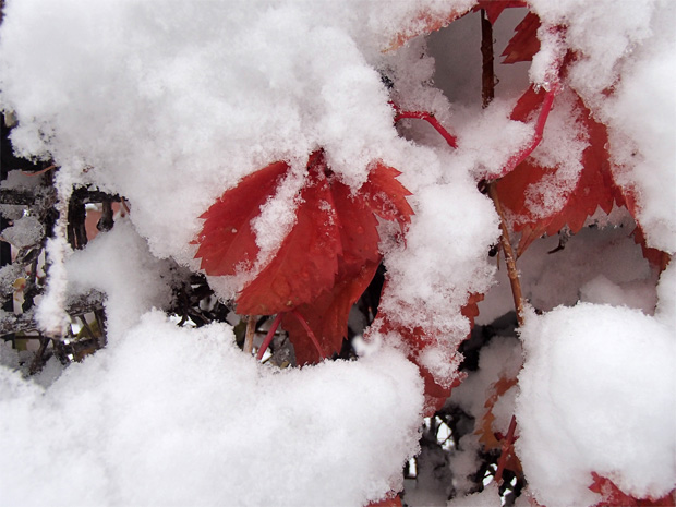 Winter Storm Atlas